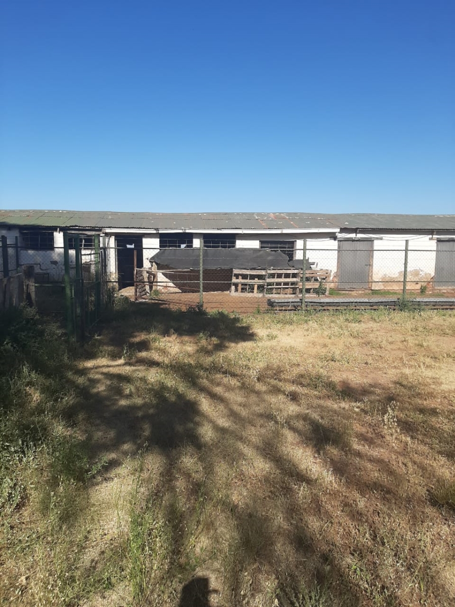 4 Bedroom Property for Sale in Hofmeyr Eastern Cape